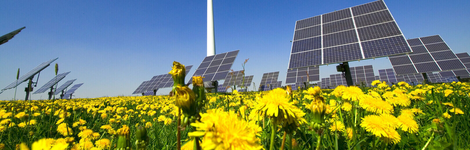 Windrad und Solarzellen